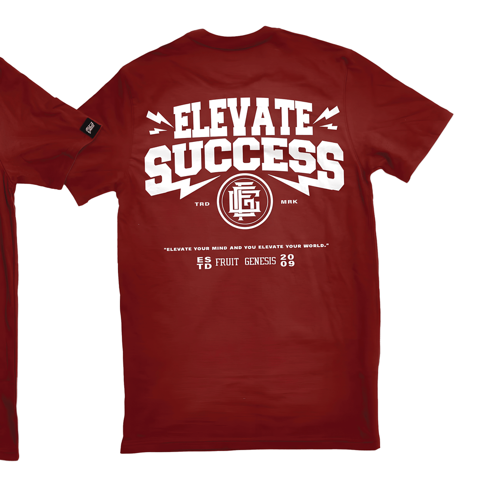 Elevate Success
